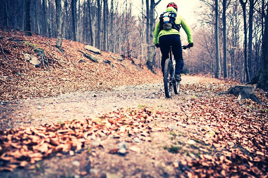 Man in a high visibility jacket riding a mountain bike through a cold forest