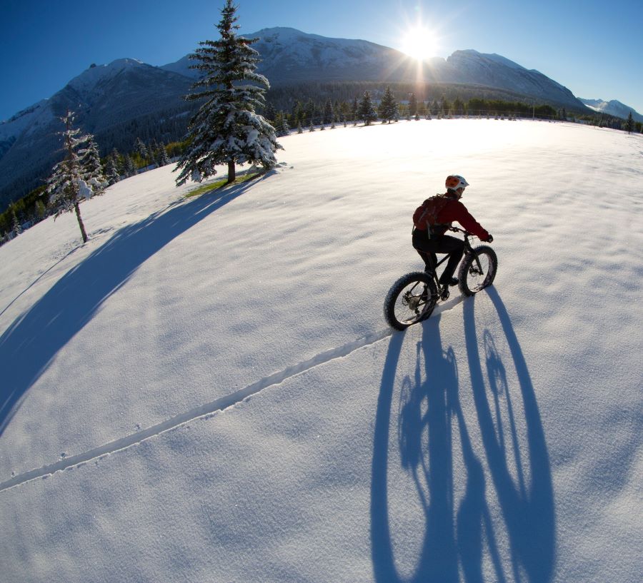 Man riding a fat bike through the snow