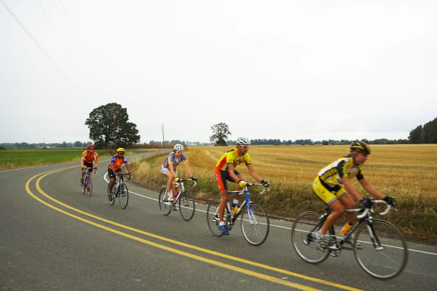 Five road cyclists using cadence drill on road next to field of corn