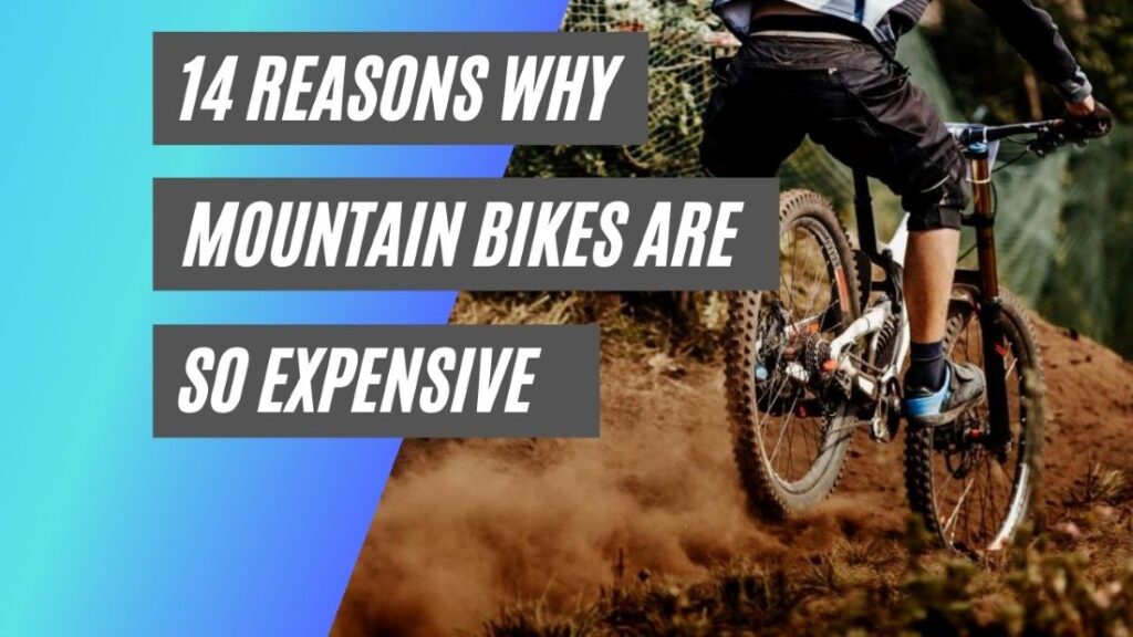 Why mountain bikes are so expensive