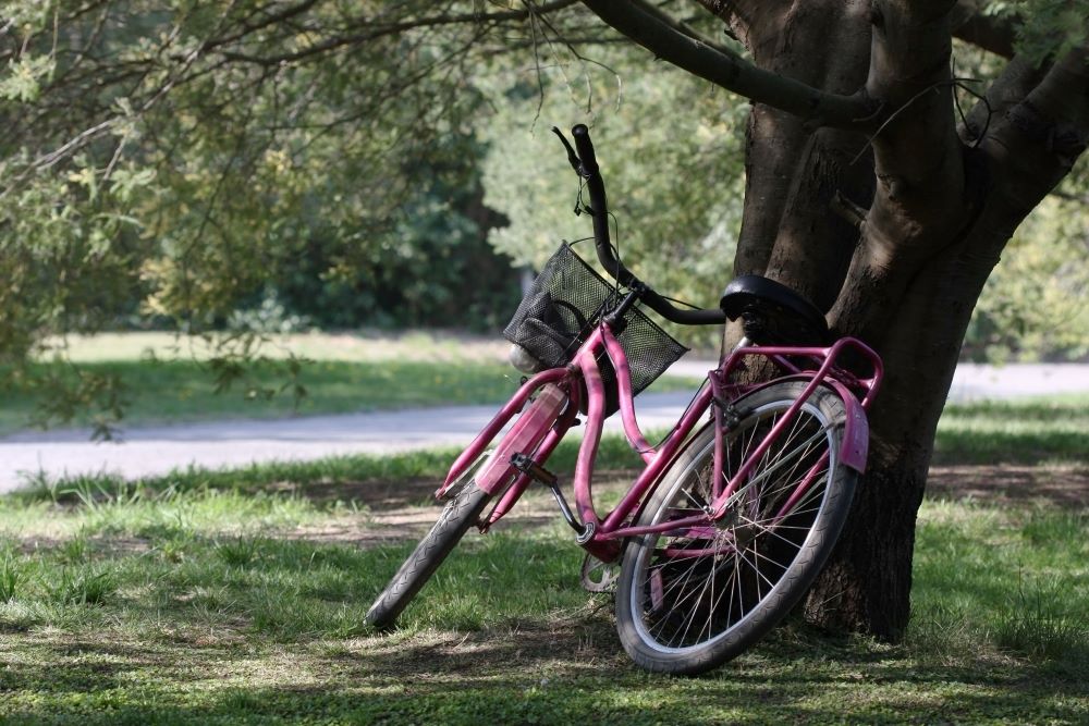 Bicycle leaning against a tree