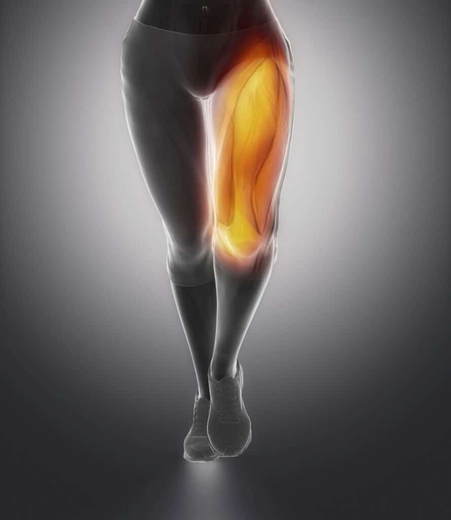 Quadriceps muscles while running