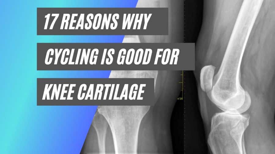 cycling is good for knee cartilage