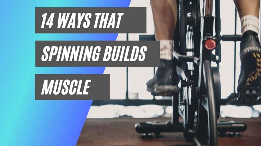 Does spinning build muscle