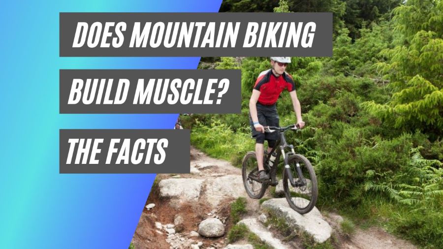 does mountain biking build muscle