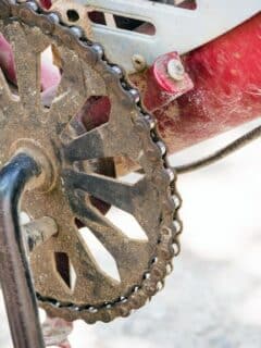 An old 1x chainring on a red bike