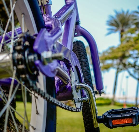 a purple coaster bike in the park